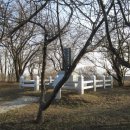 파주시 징집 제1차 이미지