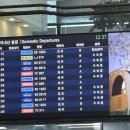 고대미농장 | ✨겨울휴가✨- 제주도편