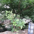 동해시-08 이미지