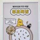 병아리김밥부산장림역점 | 장림김밥 맛집 병아리김밥 부산장림역점