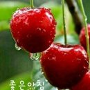 좋은인연 이미지