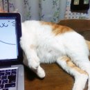 (주)지토 이미지