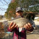 대요낚시터 이미지