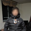 로우알파인 덕다운 필파워800 미착용 새제품 저렴하게 팝니다 이미지