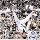 중앙1태권도 이미지