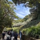 외도보타니아 | 4월 가볼만한 곳 거제 외도 보타니아 후기 (+코스, 소요시간, 사진스팟 후기)