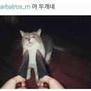 쑈유족발 이미지