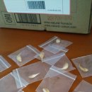 (주)이놉스 Daum카페