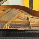 사랑피아노음악학원 이미지