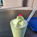 곡성 기차마을 애견동반펜션 | 곡성 기차마을 카페ㅣ 01DORA 광주근교 애견동반 가능한 대형 정원카페 디트레인 베이커리