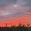 아네프의원 이미지