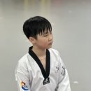 경희대 에이스 태권도 이미지