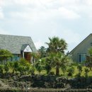 해조대 민박 이미지