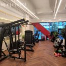 바디디자인 이미지