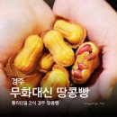 대신 | 경주 땅콩빵 무화대신 황리단길 간식 후기