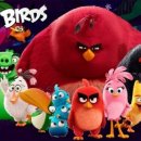 국가대표 탑 태권도 이미지