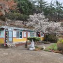 제생당약국 이미지