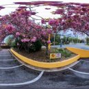 오량초등학교 이미지