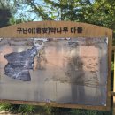 구난이 약나무 마을 이미지