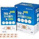 1300 데일리안