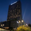 반포 고속터미널 퓨전 일식 맛집 신세계백화점 강남점 히바린(HIBARIN) 히레카츠와 몰디브 모히또 후기