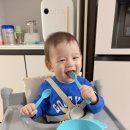 스푼앤포크 - 포항시 북구 장량로 199 | 유이앤루이 베이비 / 키즈 스푼&포크 후기🩷