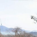 남해텃밭