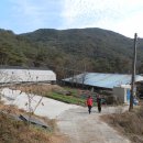 김명환농장 이미지