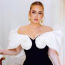 아델비어 이미지