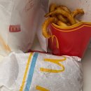 아담마를렌 | 올 겨울 열심히 돌아다닌 기록
