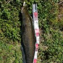 만식이네 이미지