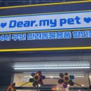 디어마이펫 이미지