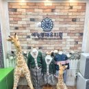 예능영재유치원 이미지