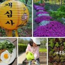 트럼프 고관세, 윤석열 계엄령, 조희대 이재명 재판 개심사, 한덕수 광주사태 발언, 김문수 단일화. 부동산대박. 나노식품 창시자 김동명 이미지