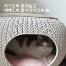 카페 2주년 기념 잔치 2부 이미지