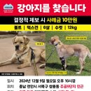볼트