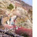 아침풍경 이미지