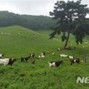 산지곡 네이버블로그