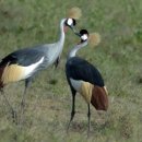 VIP세탁소 이미지