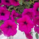 시민회관(앞) 이미지