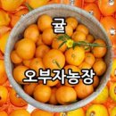 오부자농장 이미지