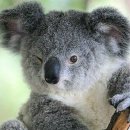 원재연 피아노 리사이틀 이미지