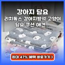리치켄넬 | 강아지 담요 폭신하고 가성비 좋은 사계절 애견 방석 추천