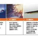 미산양식장 한겨레