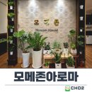 365아로마제주연동점 | 제주 연동 마사지 추천 모메존아로마