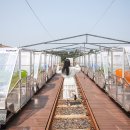 제주동쪽 이미지