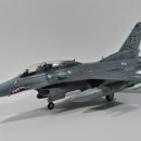 [1/48 Italeri/Kinetic] F-16DG USAF "Town of Springlake" 완성 이미지