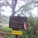 소류정 Daum카페