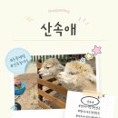 여주-0507 | 경기도 아이랑 갈만한곳 경기여주 "산속애" 후기_동물체험도 하고 산속놀이터에서 신나게 놀았던 하루