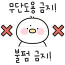 템템 이미지